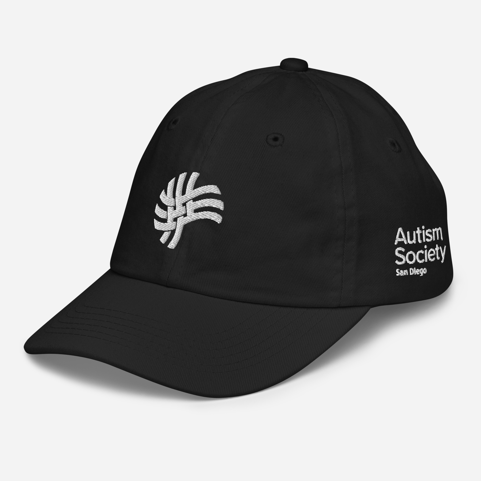 ASSD Essential Logo Youth Baseball Cap in Black | Autism Society San Diego